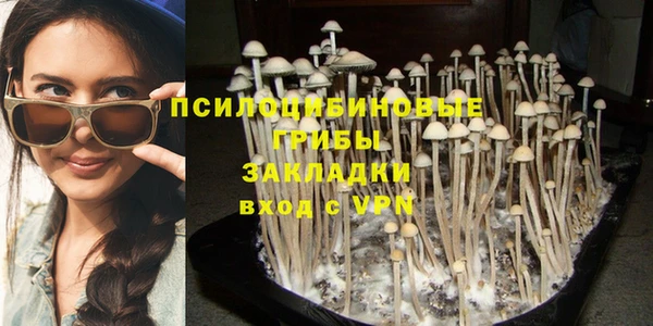 spice Абинск