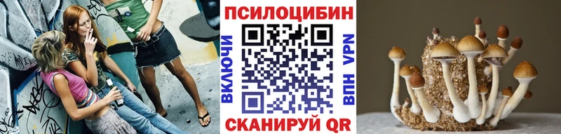 Псилоцибиновые грибы Psilocybine cubensis  shop Telegram  Кингисепп  гидра ссылки 