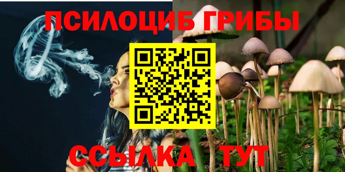 Псилоцибиновые грибы мухоморы Кингисепп
