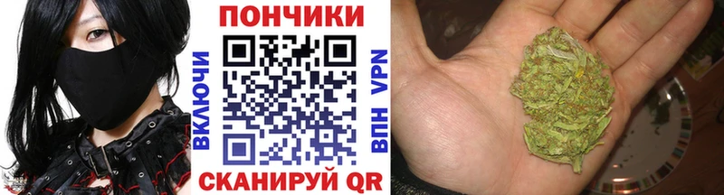 Марихуана Bruce Banner  Кингисепп 